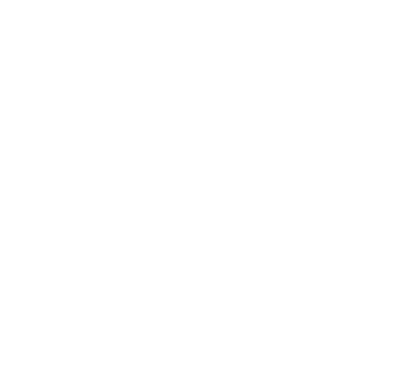 ליאור לם-לוגו